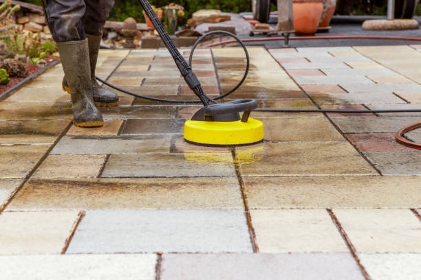 Animal Enclosure Cleaning in Norwich, CT